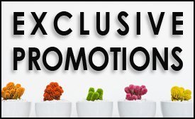 Exclusive Promotions at Total Body Care